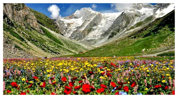 Zanskar Ranges in the Valley of flowers